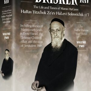 THE BRISKER RAV VOL. 2